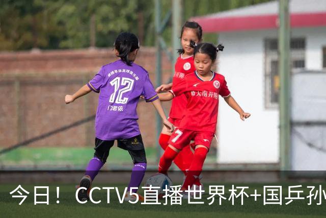 今日！CCTV5直播世界杯+国乒孙颖莎冲击冠军+中国男篮，5+转温网