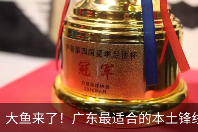 大鱼来了！广东最适合的本土锋线曝光，朱芳雨可能完成“2换1”？