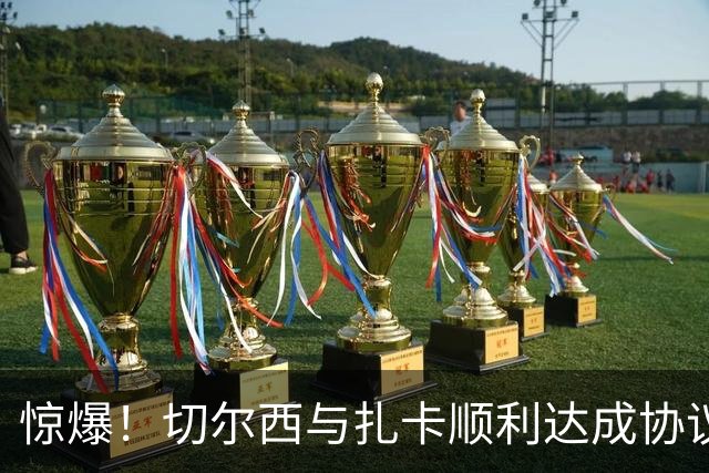 惊爆！切尔西与扎卡顺利达成协议，曼城以2160万镑签下德图尔贝！