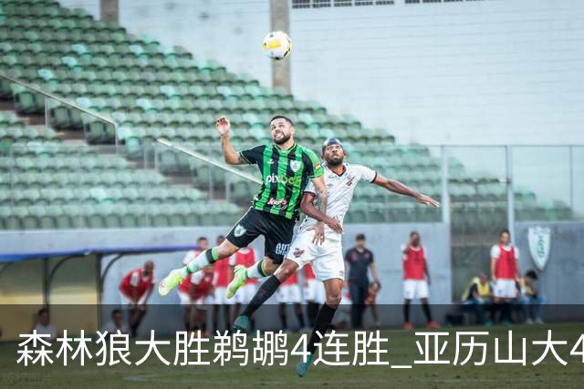 森林狼大胜鹈鹕4连胜 亚历山大43分雷霆克骑士